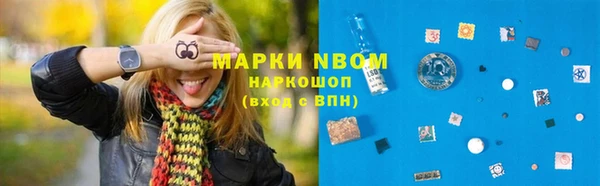 молекула духа Костерёво