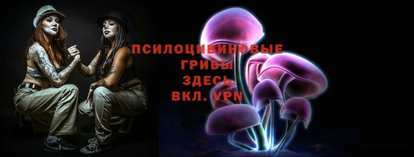 сатива Алексеевка