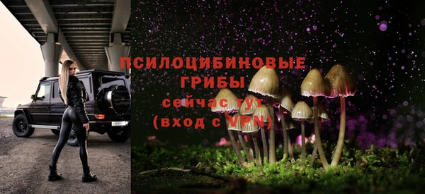 кокс Алзамай