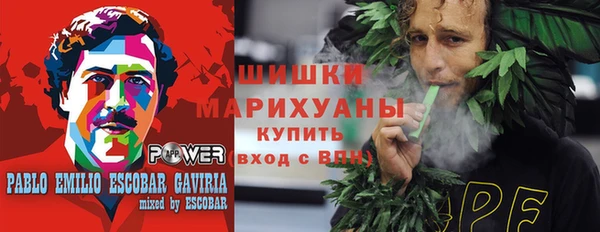 молекула духа Костерёво