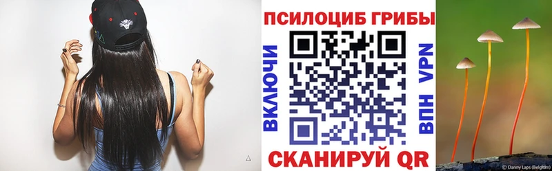 Галлюциногенные грибы Magic Shrooms  где купить наркоту  Бийск 